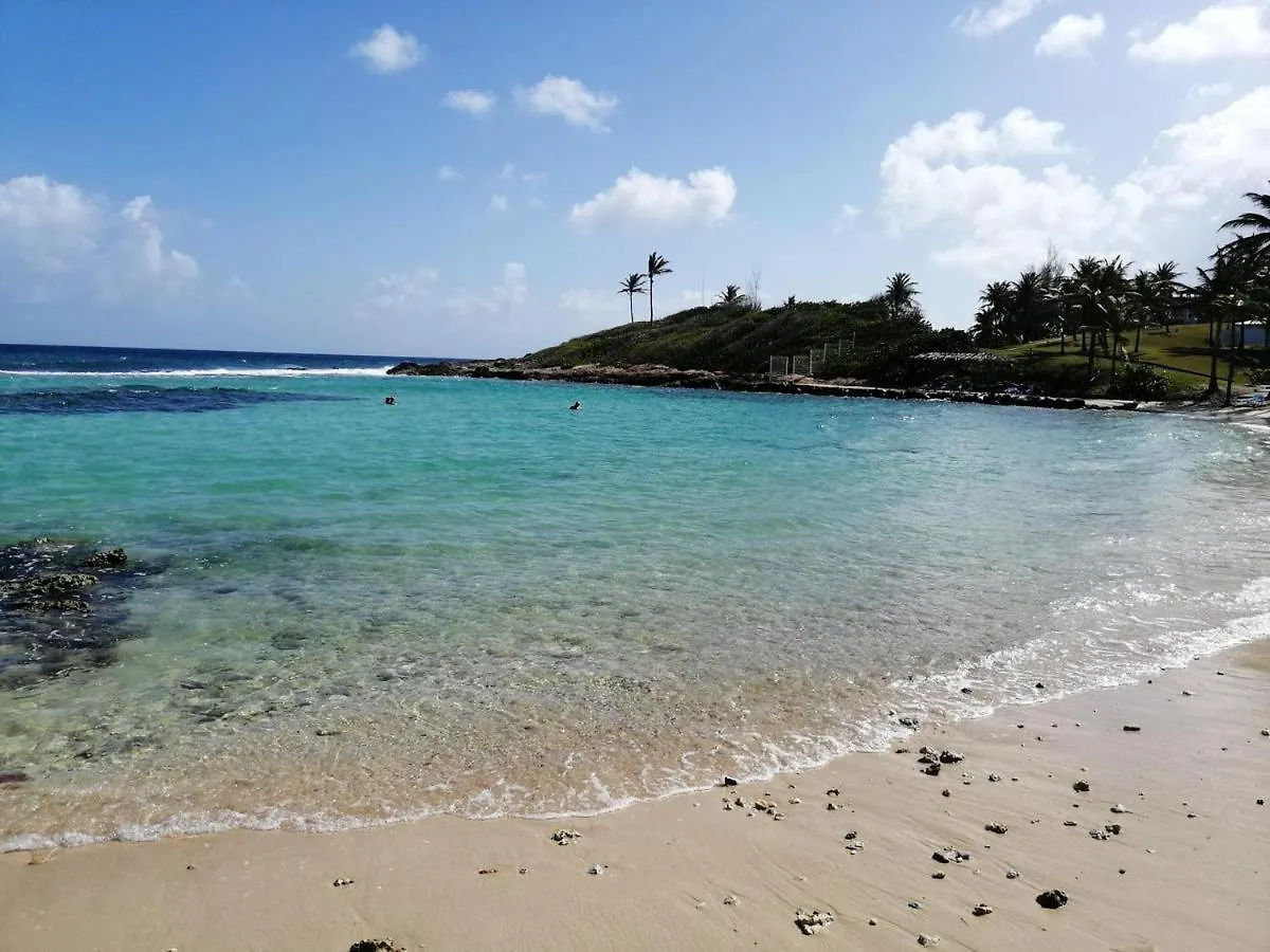 Studio Cosy A Saint Francois 25 M² Avec Piscine Partagee Apartment Saint-Francois (Grande-Terre)